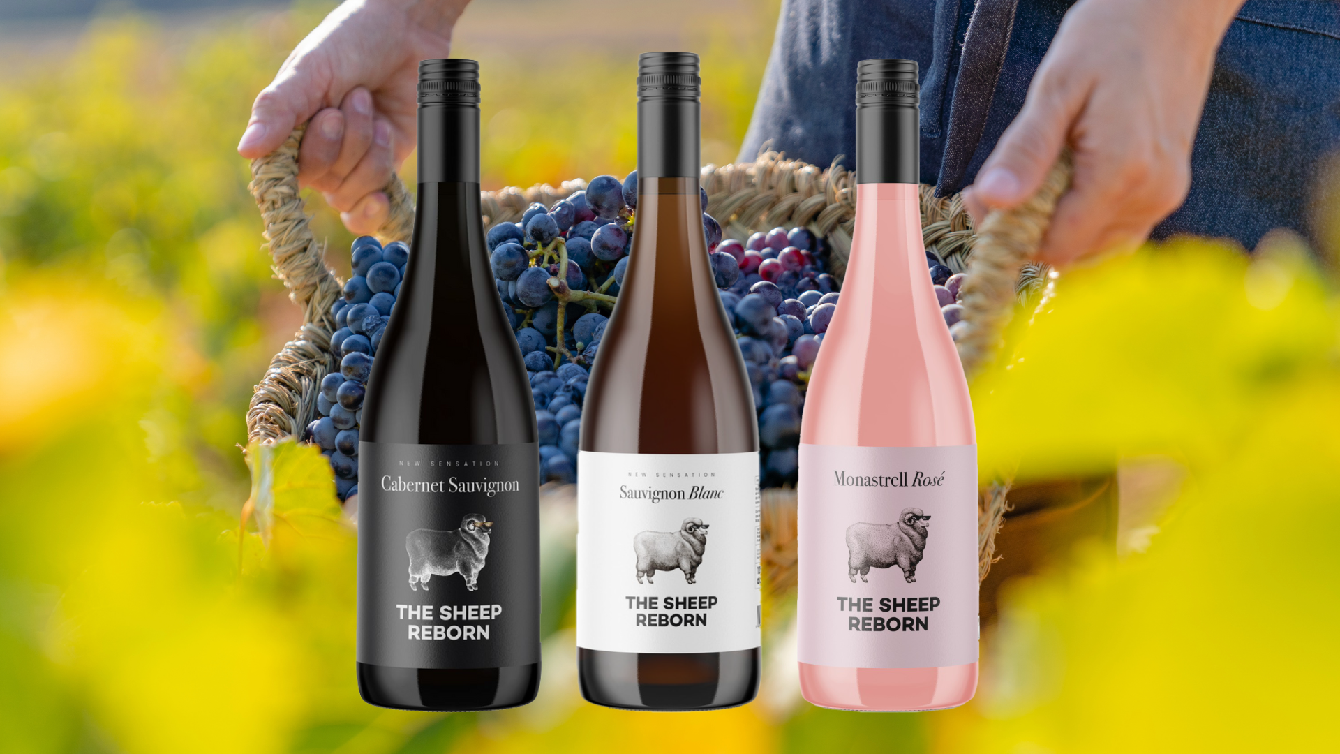 The Sheep Reborn.png