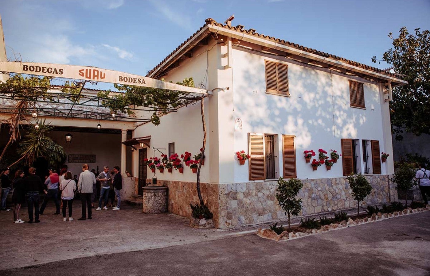 visits-bodega-suau.jpg