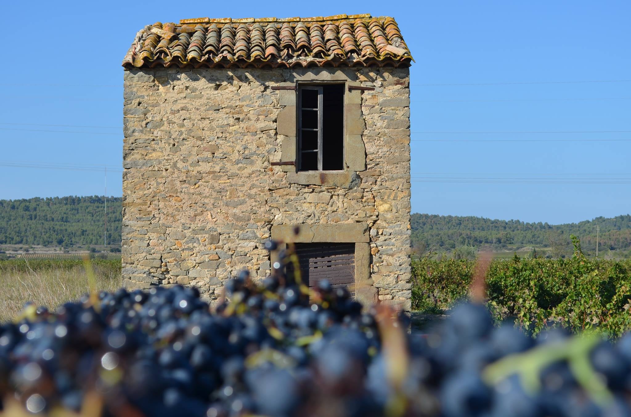 Terres Georges gård.jpg