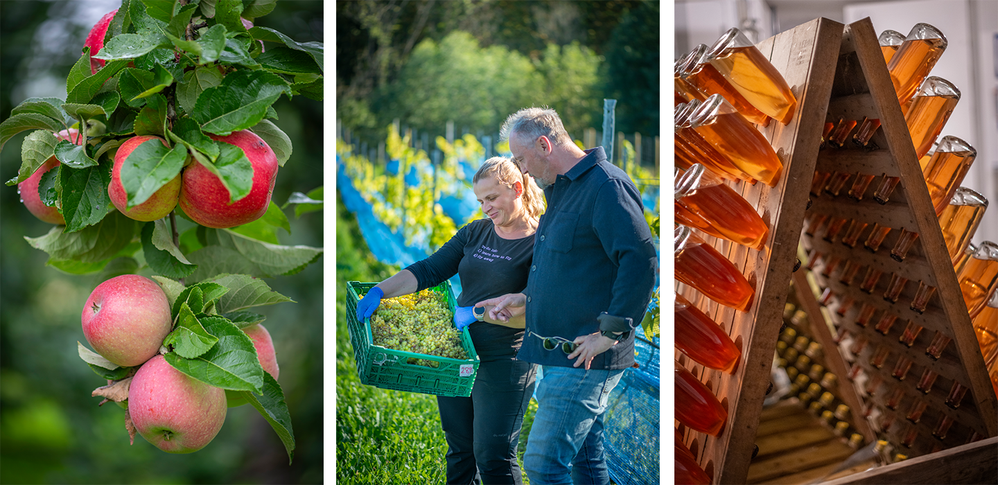 egge gård miljö x3.png